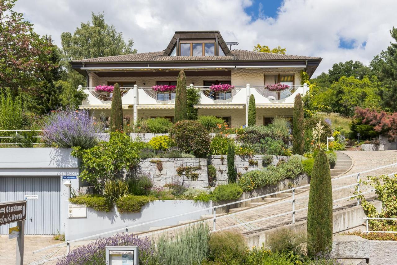 Gaestehaus Anita Гайлинген Экстерьер фото
